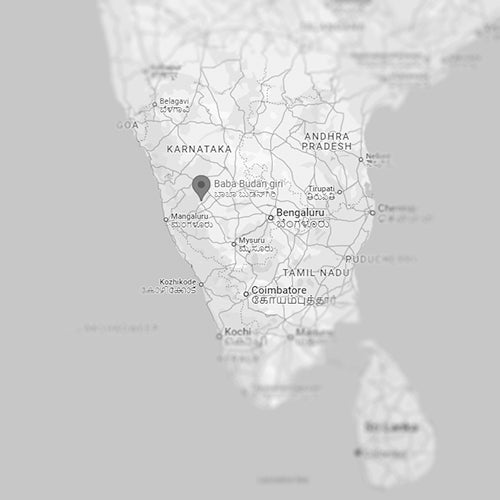 Map highlighting the Tiger Mountain region in India, home to premium coffee beans.