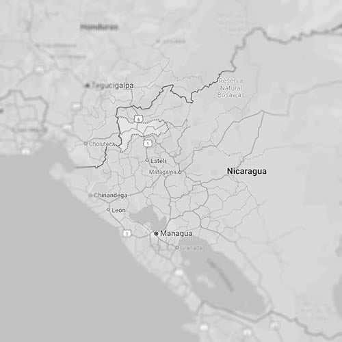 Map showing the coffee-producing regions of Nicaragua, where organic coffee beans are grown.