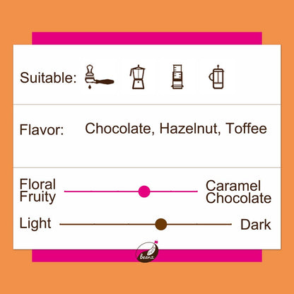 Information about 'Guatemala New Oriente' coffee beans, highlighting suitable brew methods, flavor notes, and medium roast level.